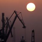 les grues du port