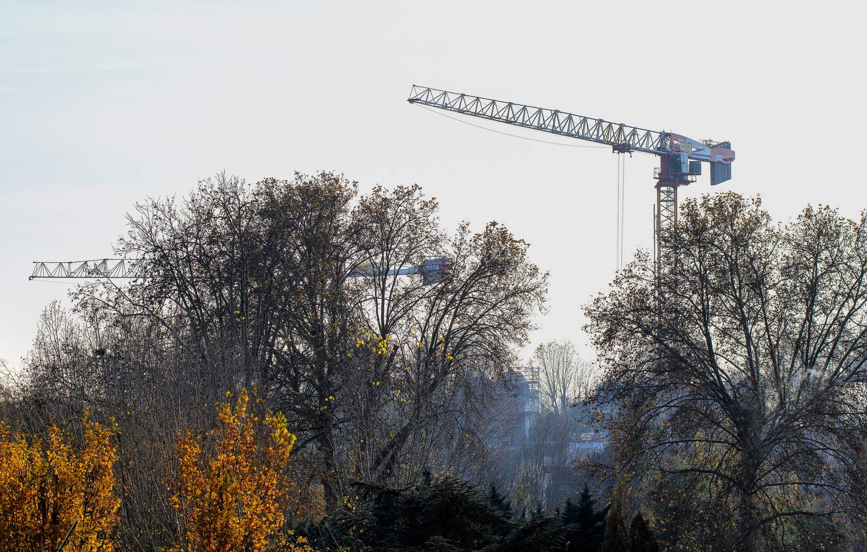 Les grues 