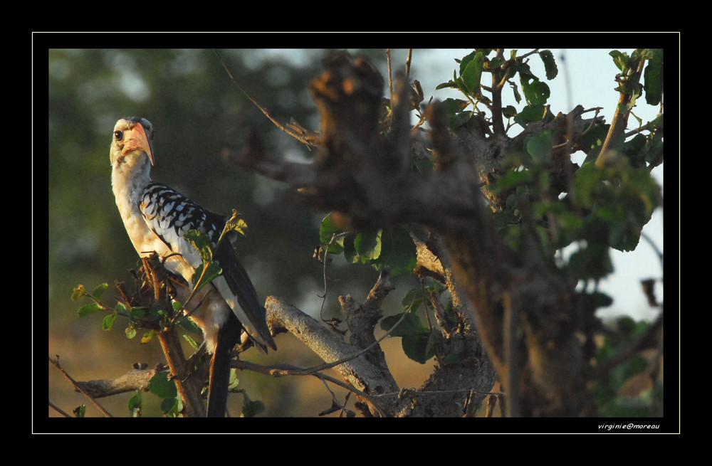 Les habitants de Taita Hills