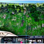 Les Halles d´Avignon