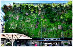 Les Halles d´Avignon