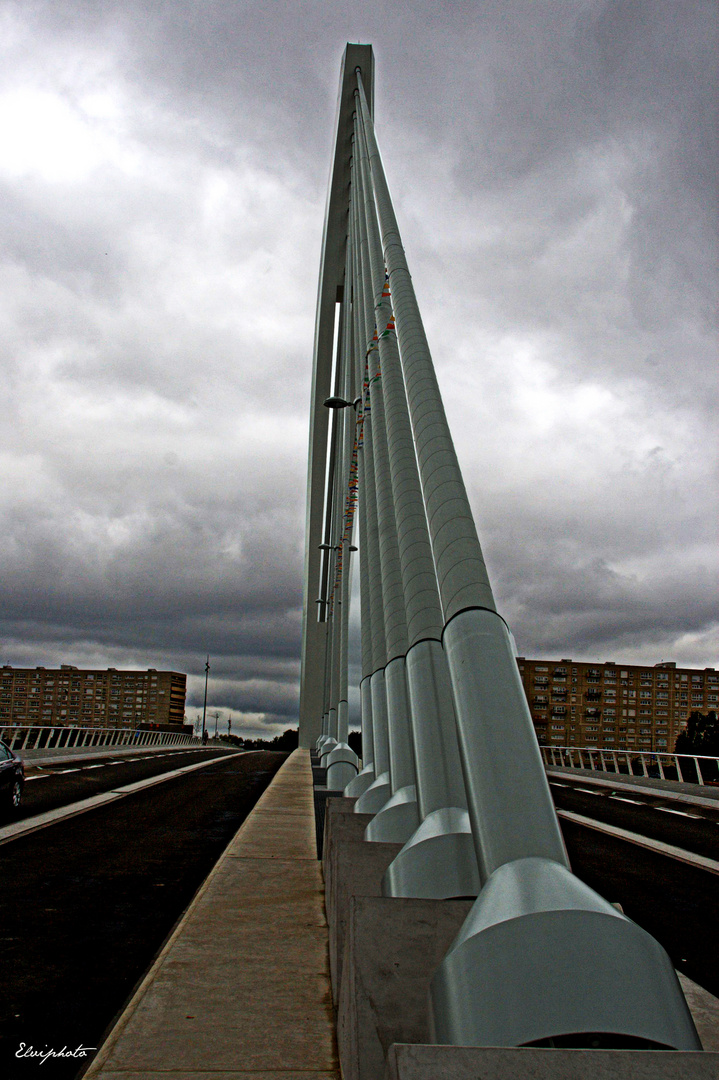 Les haubans du pont Eric Tabarly 