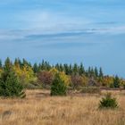 Les Hautes Fagnes 1