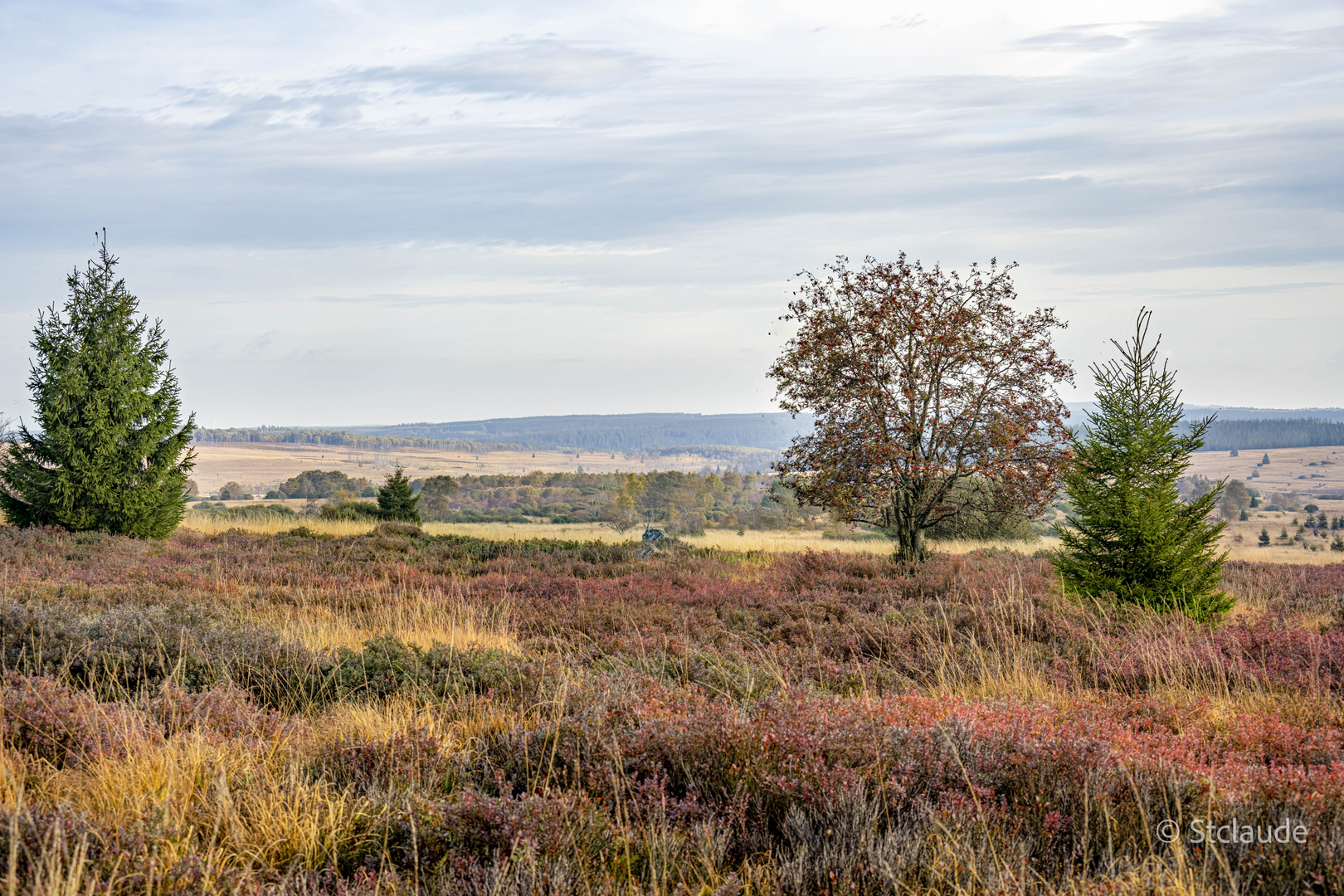 Les Hautes Fagnes