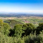 les hauteurs des vosges