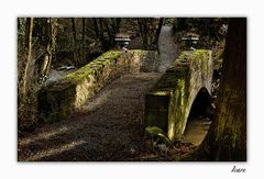 les hommes construisent trop de murs et pas assez de ponts. (Corrigée par J. Millet)