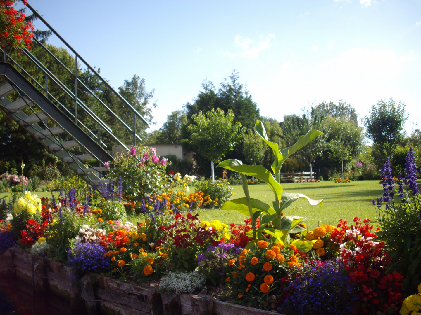 Les Hortillons D'Amiens