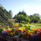 Les Hortillons D'Amiens