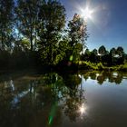 Les iles protégées de la Marne