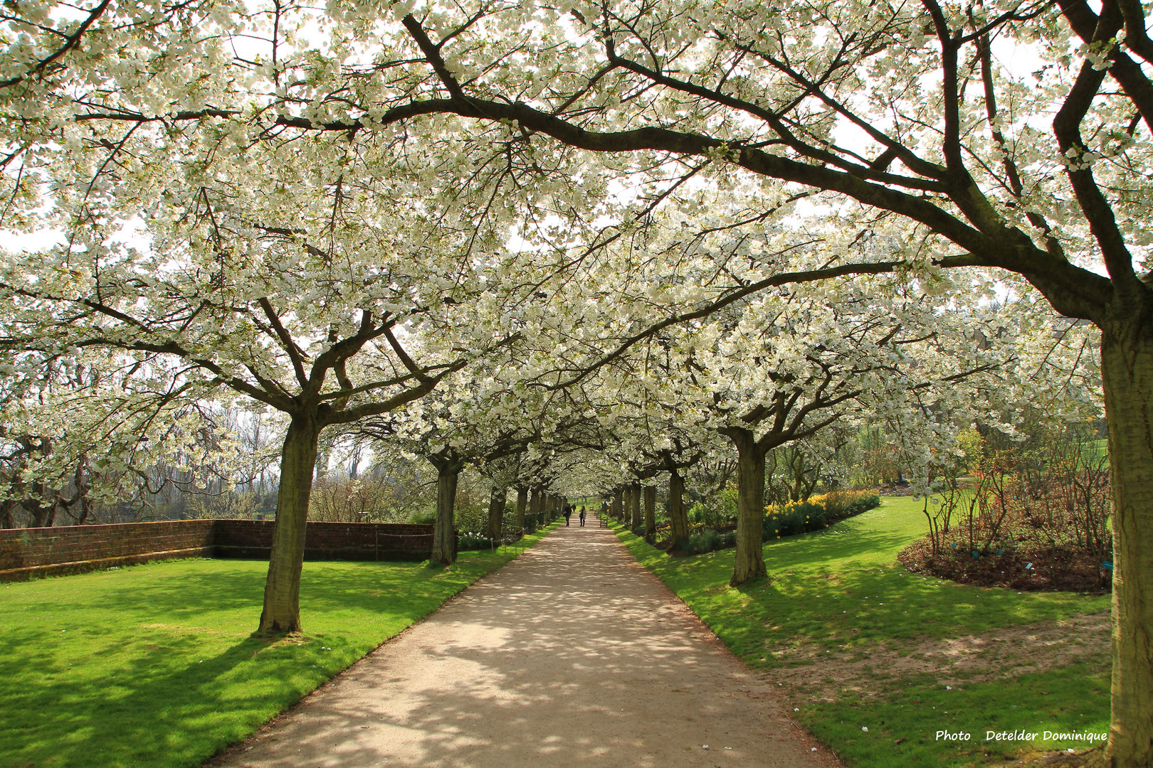 Les jardin de valloires