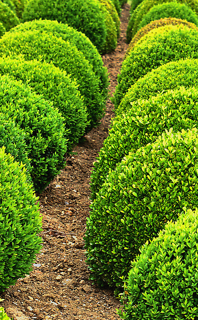 Les Jardins d Ámboise