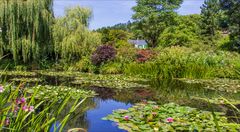 Les jardins de Claude Monet
