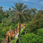 les jardins de l' alcazar 