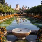 les jardins de l'Alcazar à SEVILLE