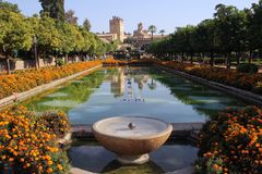 les jardins de l'Alcazar à SEVILLE