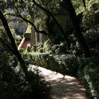 Les Jardins de Marqueyssac 4 (Dordogne)