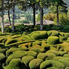 Les Jardins de Marqueyssac - Dordogne