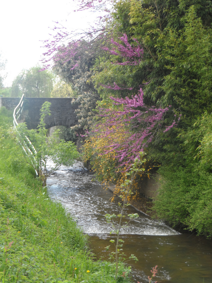 Les jardins de mon Enfance........Parc de L'Auzette en LIMOUSIN........( 2)