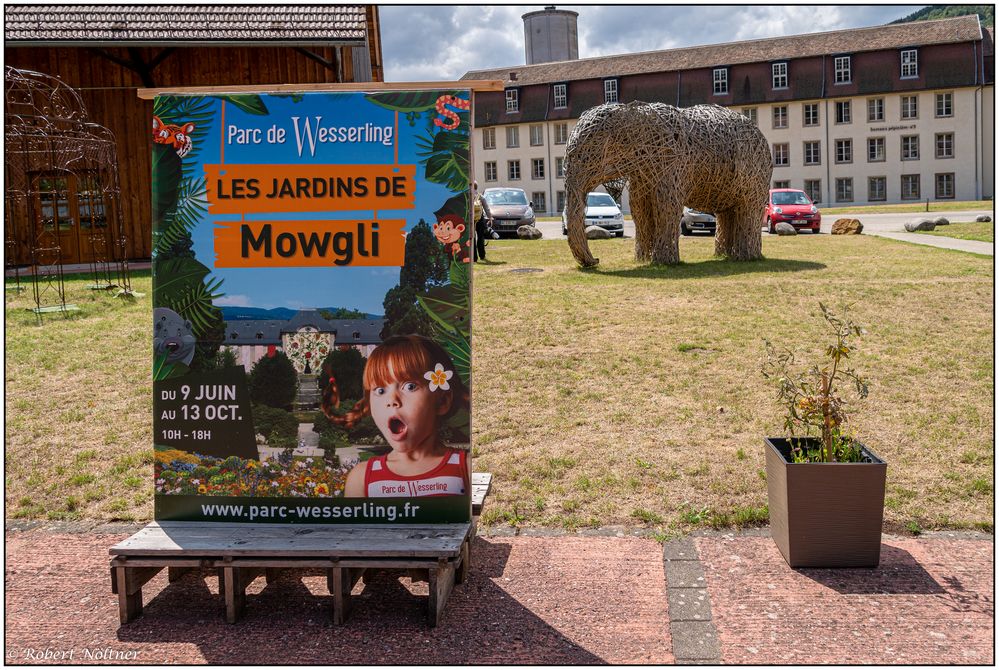 Les jardins de Mowgli