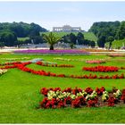 Les jardins de Schönbrunn