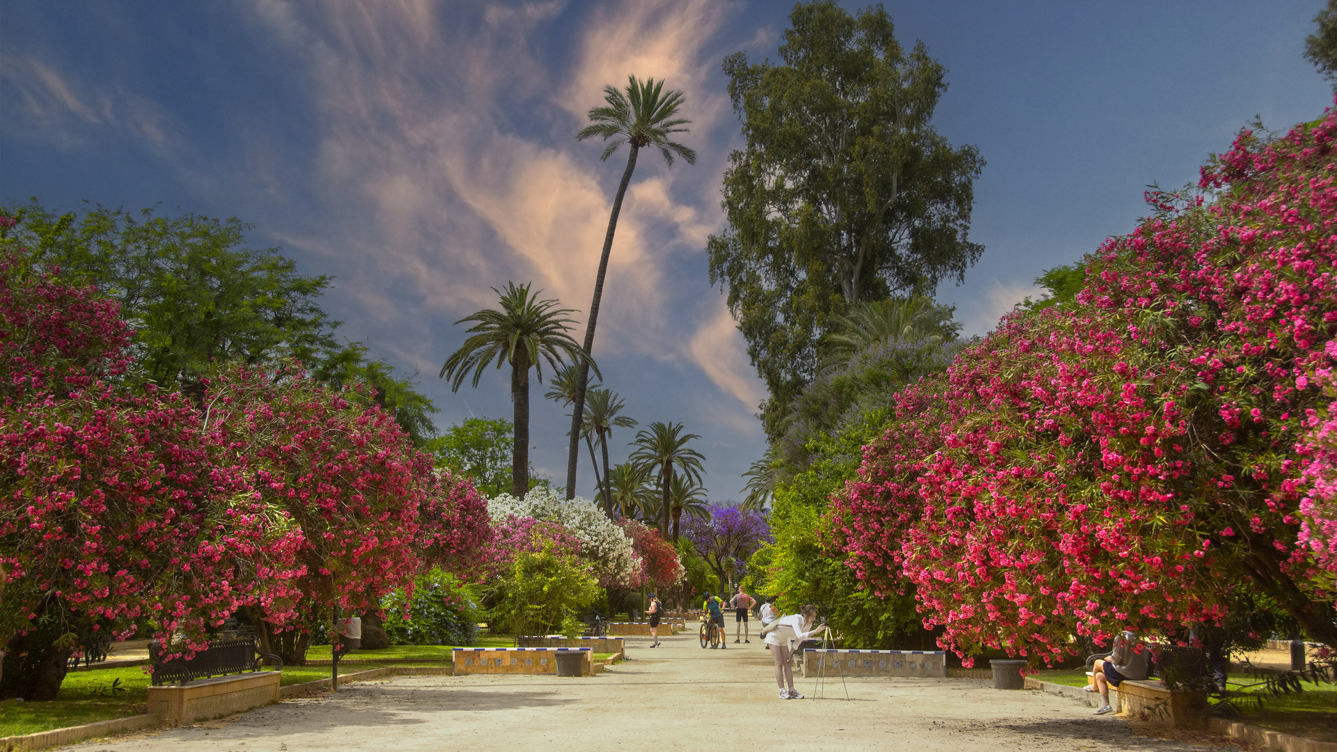 Les jardins de Séville fin mai