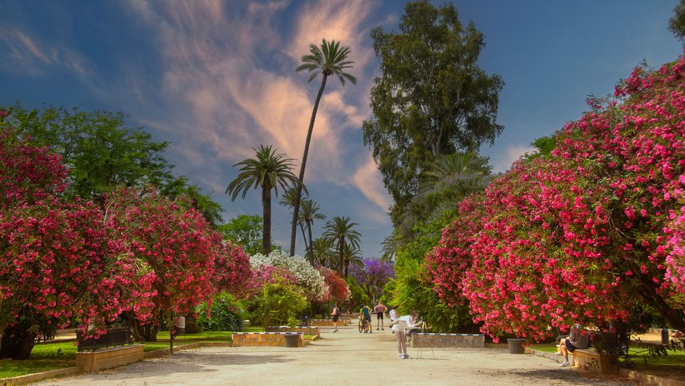 Les jardins de Séville fin mai