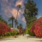 Les jardins de Séville fin mai