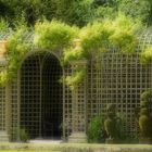 les jardins de Versailles