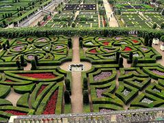 LES JARDINS DE VILLANDRY ( 37 )