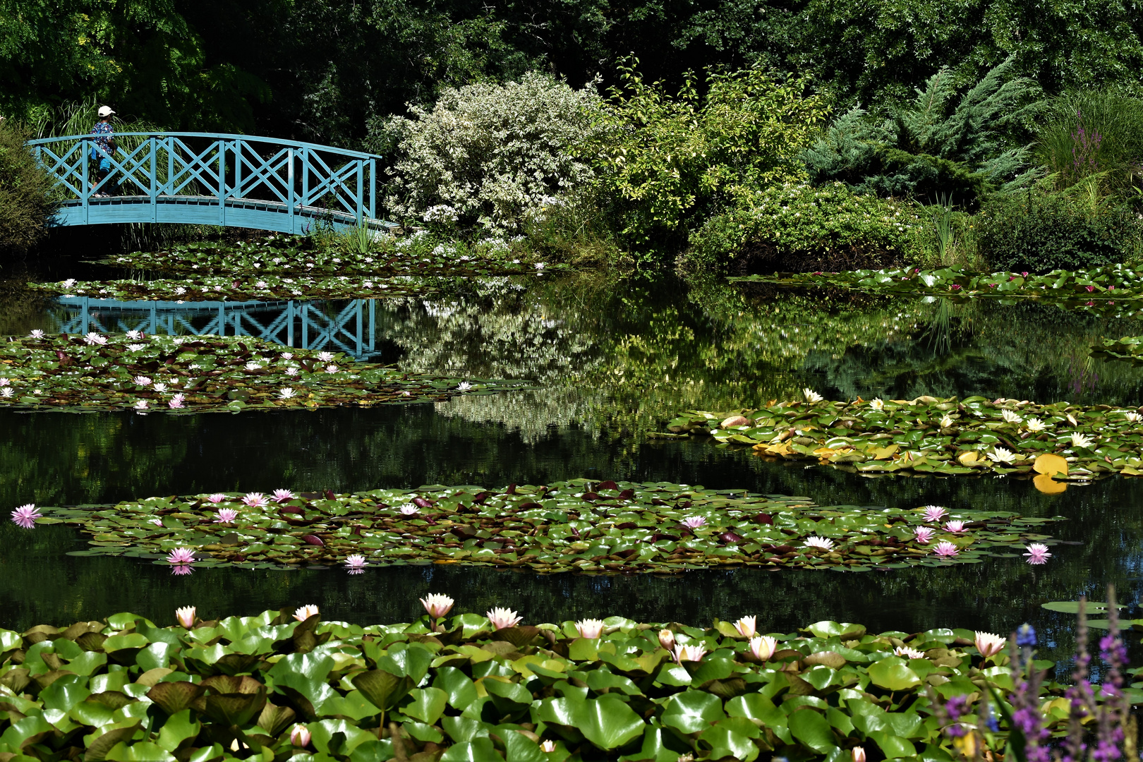 Les Jardins d'Eau de Carsac