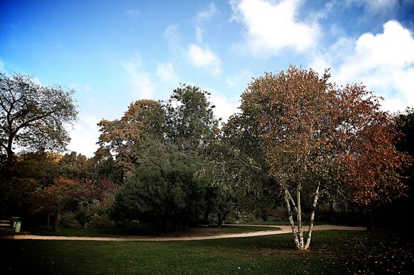 Les jardins des Tuleries