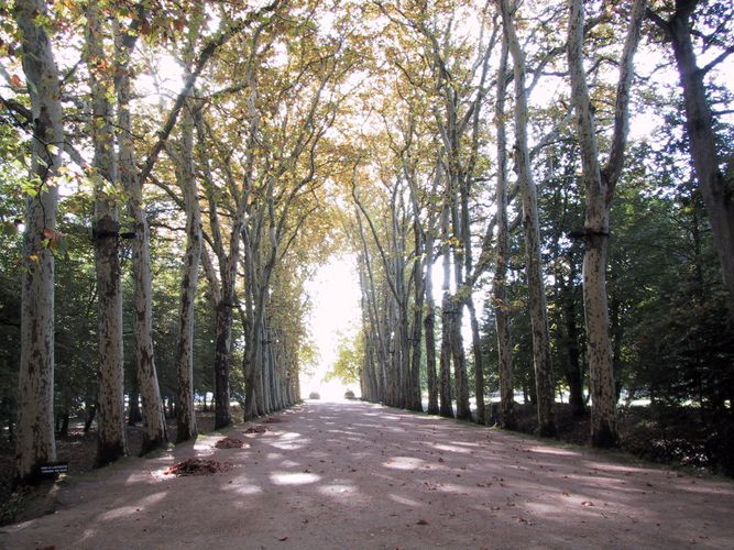 les jardins du chateau du chenonceau