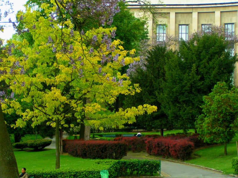 Les jardins du trocadero