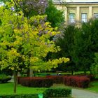 Les jardins du trocadero