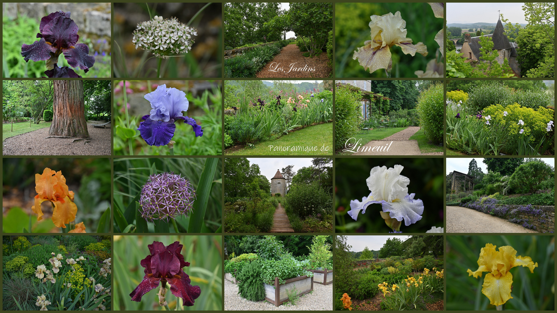 Les Jardins panoramique de Limeuli