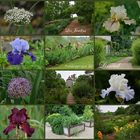 Les Jardins panoramique de Limeuli