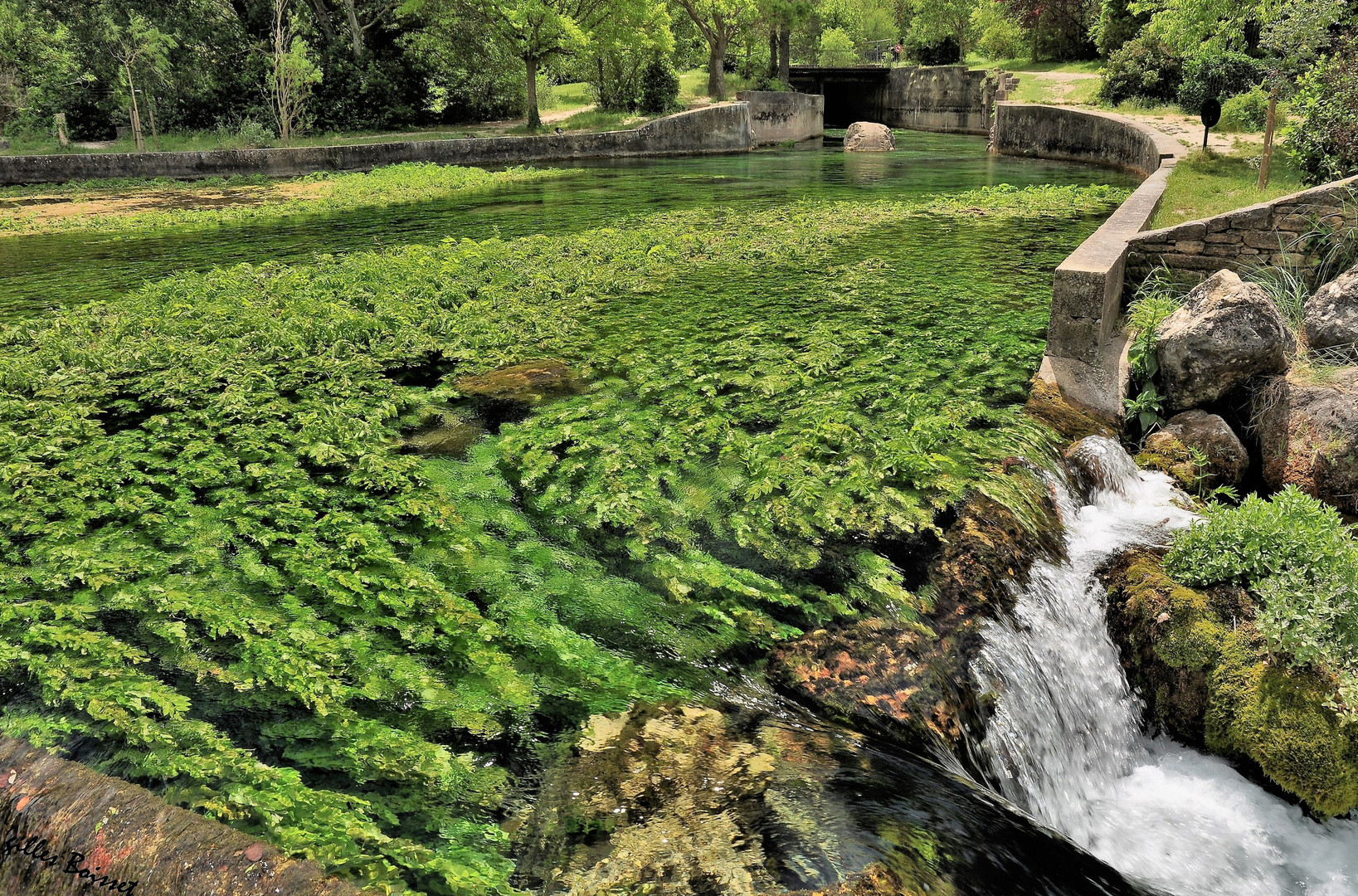 les jeudis de la Sorgue