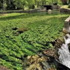 les jeudis de la Sorgue