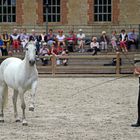 Les jeudis du Haras du Pin (1)