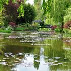 les jeudis verts à Giverny