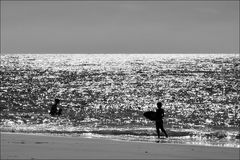 Les joies de la Mer