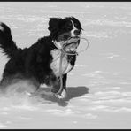 Les joies de la neige