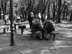 les joueurs d’échecs 