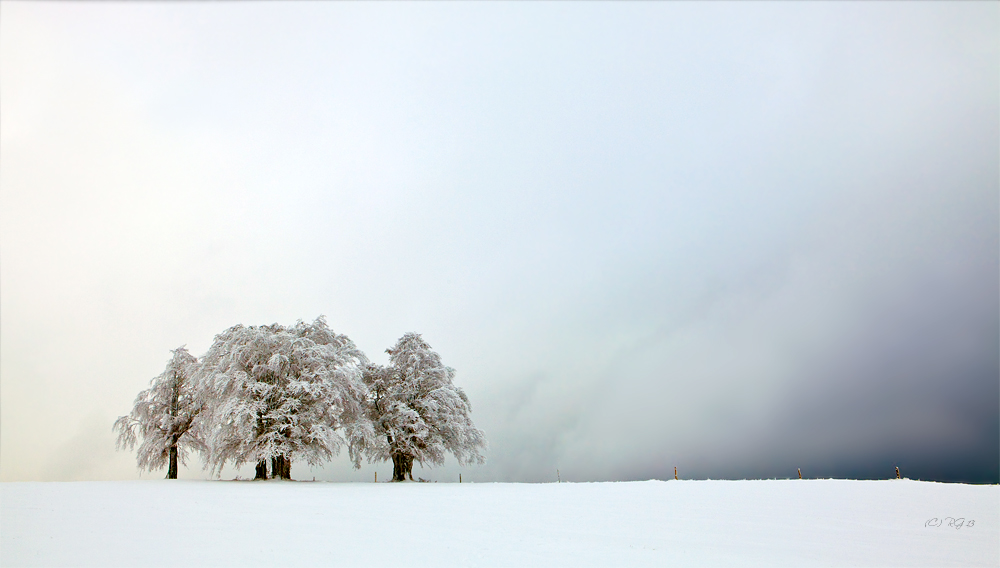 les jours d`hiver