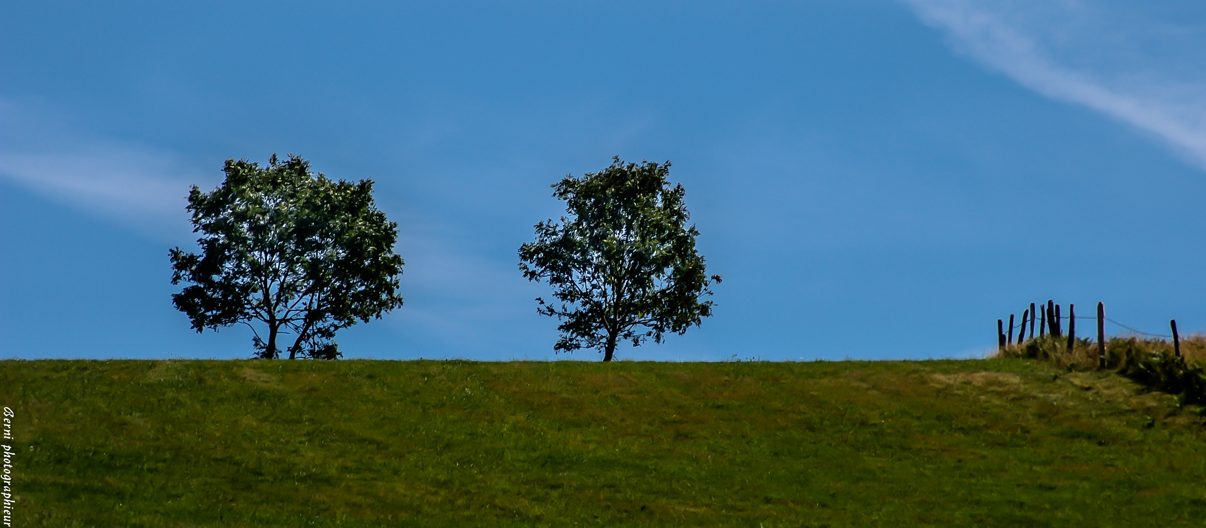 les jumeaux