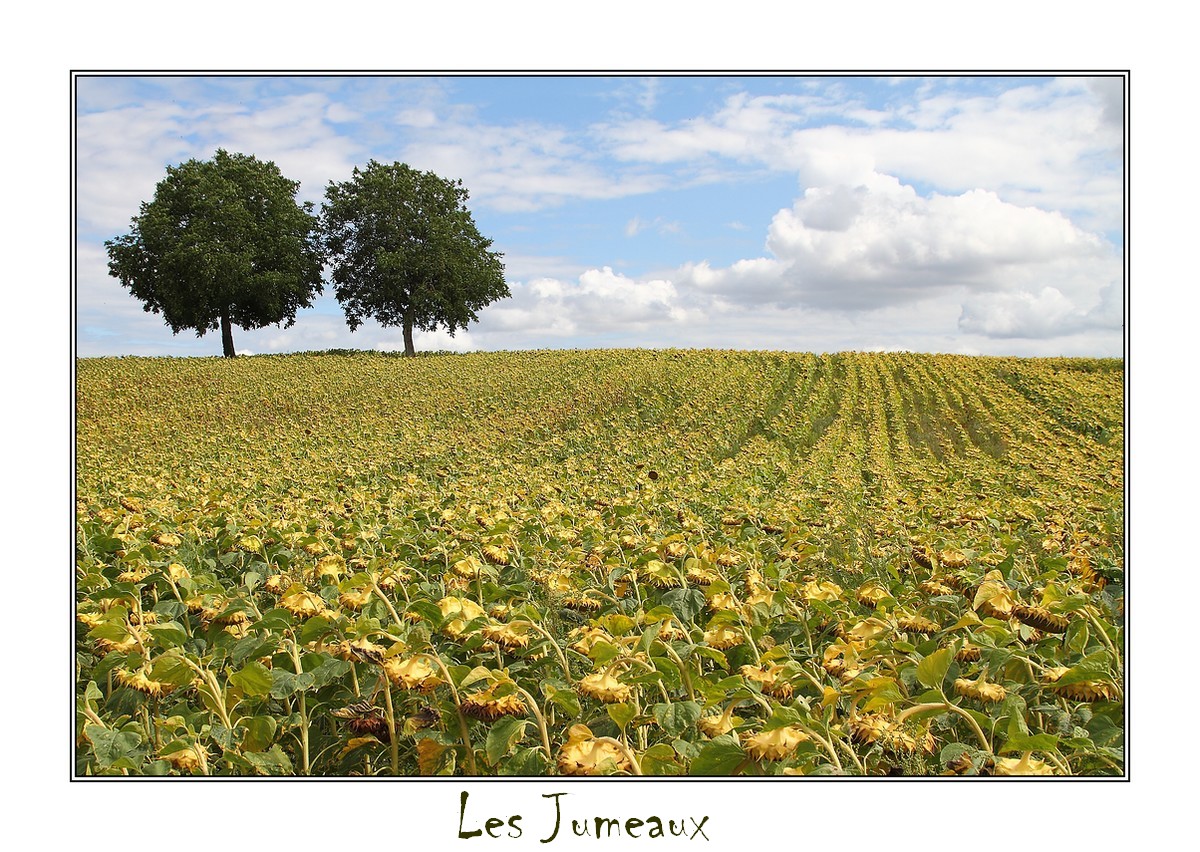 Les Jumeaux