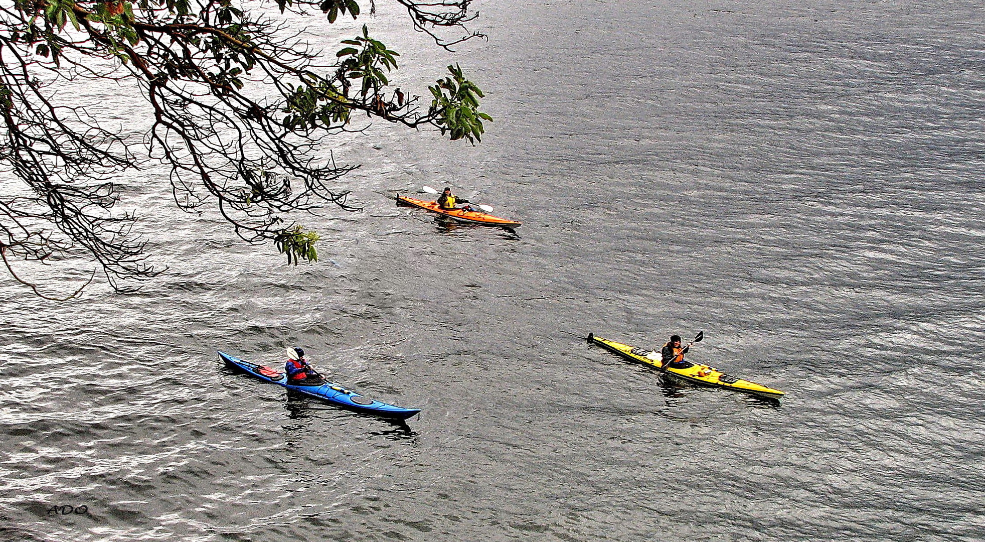 les kayakistes