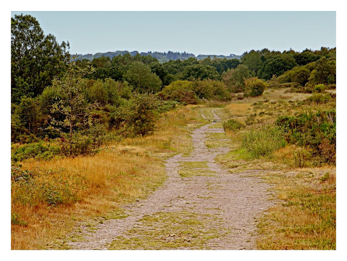 les-landes-de-cojoux