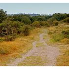 les-landes-de-cojoux