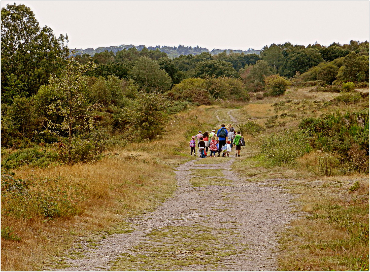 les landes de cojoux